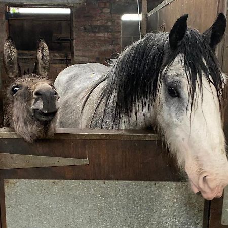 Вилла Holywell Grange Farm Уитли-Бей Экстерьер фото